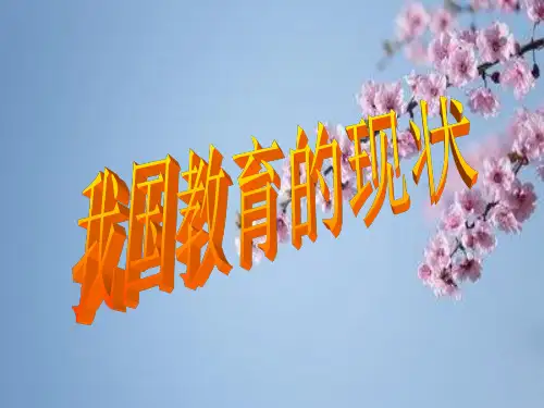 我国教育的现状PPT精品课件