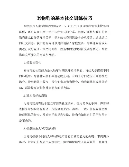 宠物狗的基本社交训练技巧