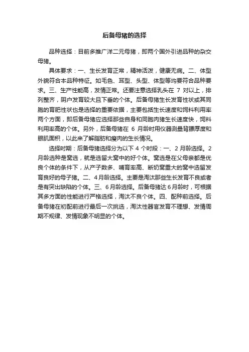 后备母猪的选择