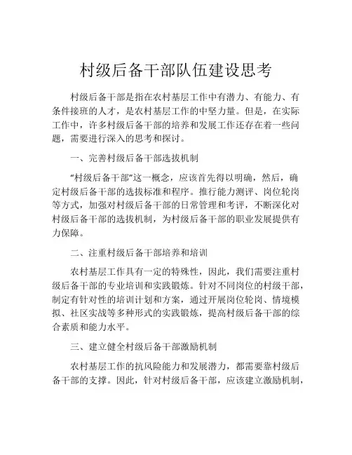 村级后备干部队伍建设思考