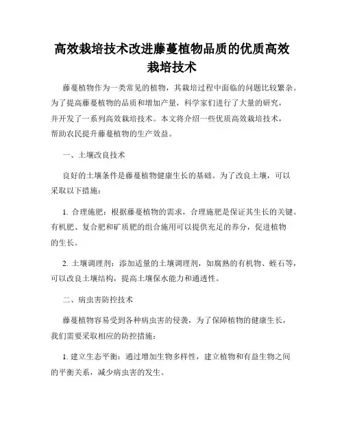 高效栽培技术改进藤蔓植物品质的优质高效栽培技术