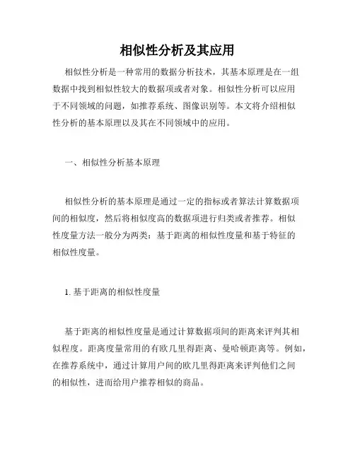 相似性分析及其应用