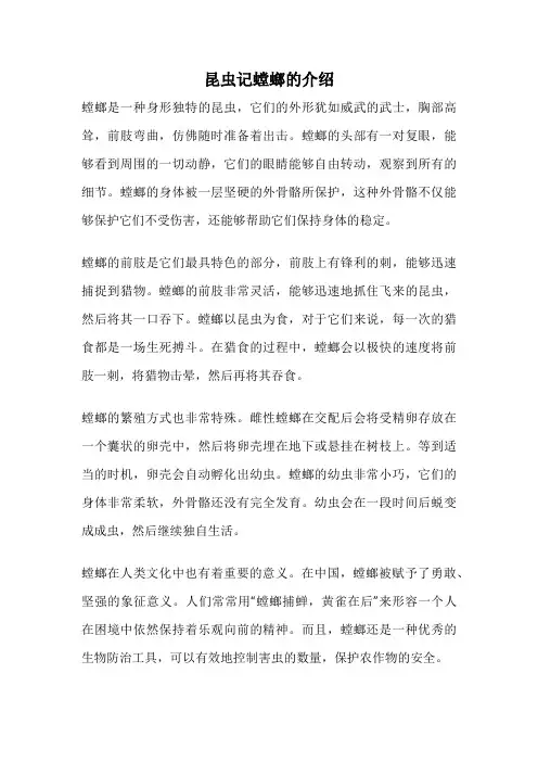 昆虫记螳螂的介绍