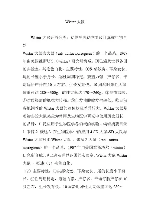 Wistar大鼠