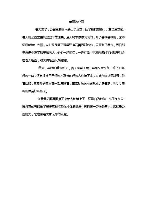 美丽的公园
