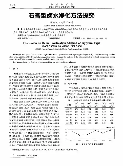 石膏型卤水净化方法探究