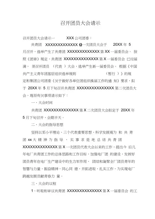 召开团员大会请示