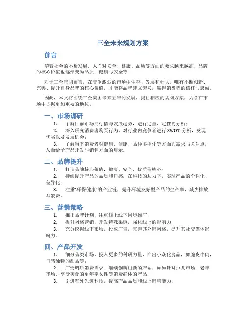 三全未来规划方案 (2)