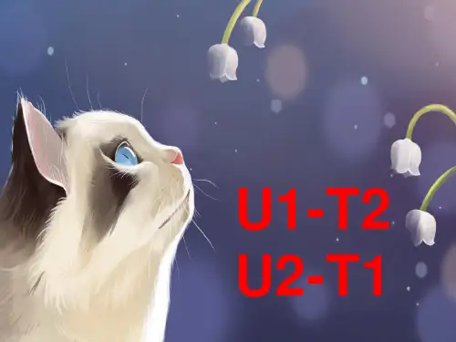 2022-2023学年仁爱版英语八年级上册复习课件：八上Unit 1-Unit 2 