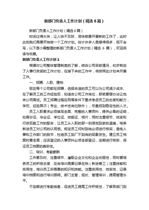 新部门负责人工作计划（精选6篇）