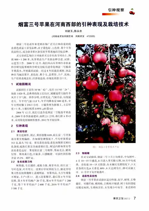 烟富三号苹果在河南西部的引种表现及栽培技术