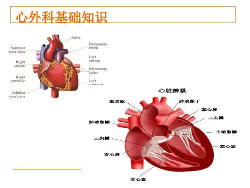 最新心脏外科概述PPT课件