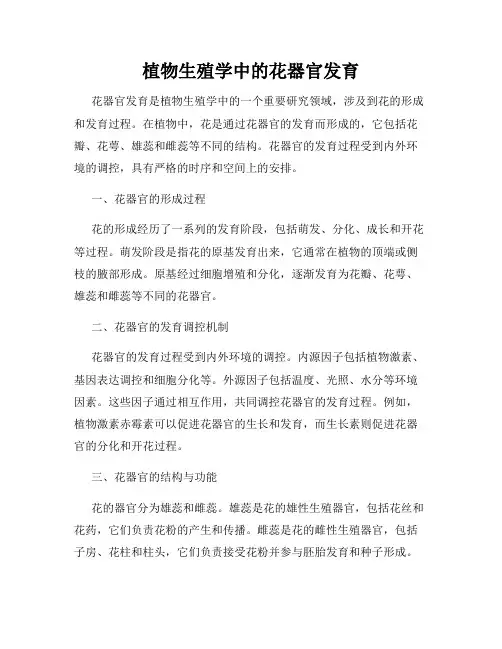 植物生殖学中的花器官发育