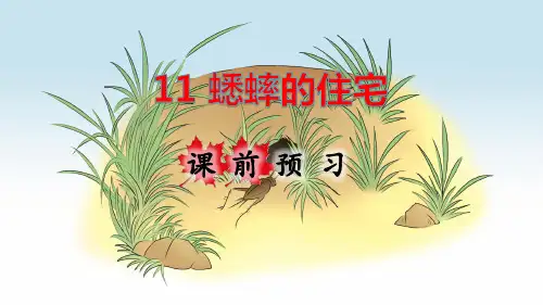 部编版小学四年级语文上册第11课《蟋蟀的住宅》优质课件(共201张PPT)
