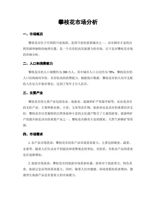 攀枝花市场分析