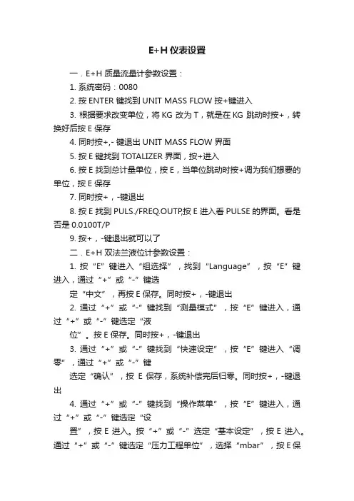 E+H仪表设置