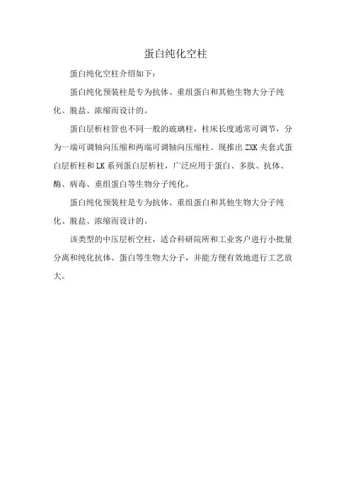 蛋白纯化空柱