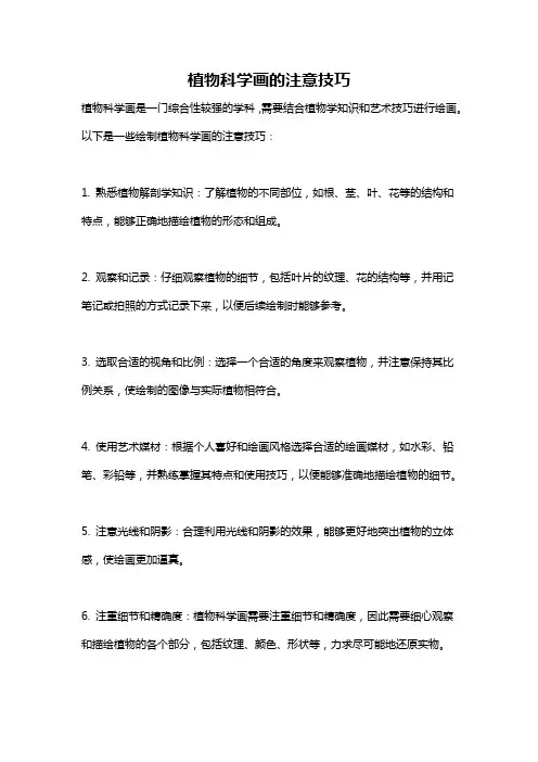 植物科学画的注意技巧