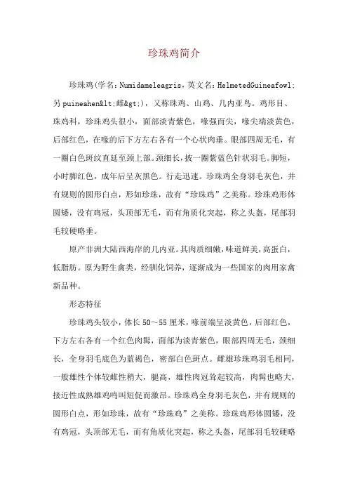珍珠鸡简介