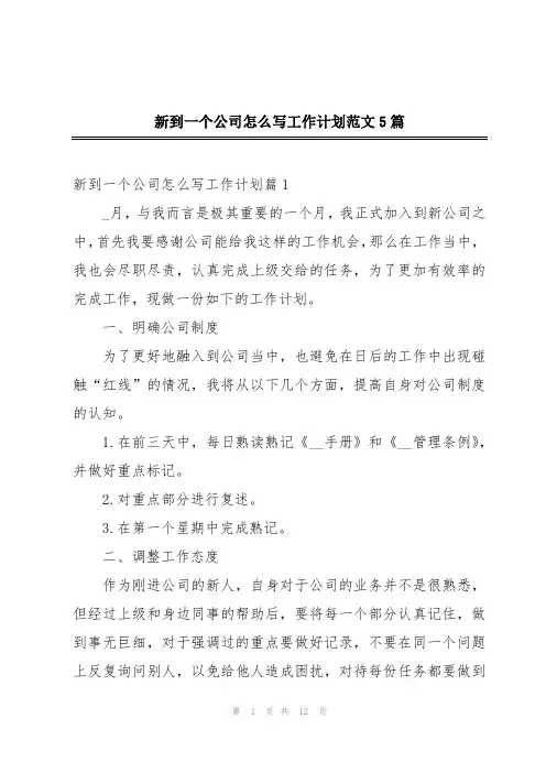 新到一个公司怎么写工作计划范文5篇
