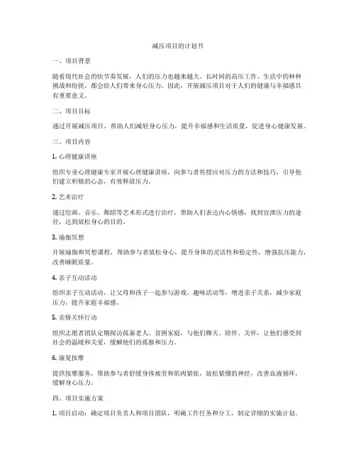 减压项目的计划书