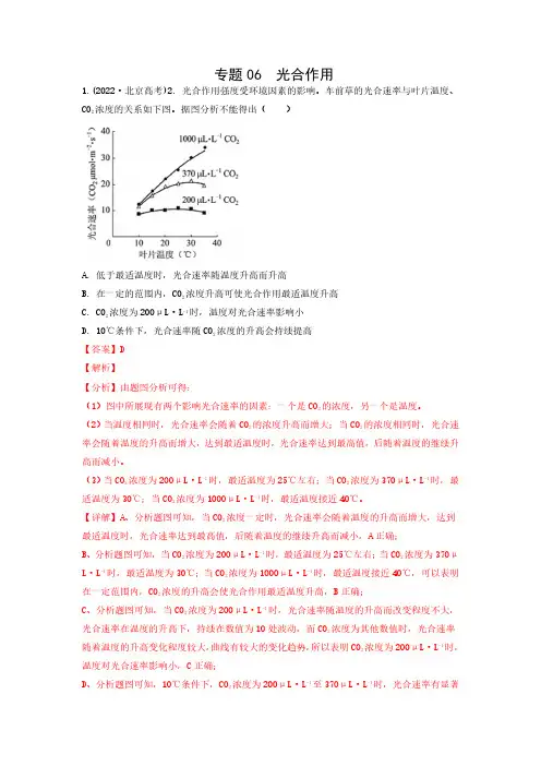专题06  光合作用(解析版)