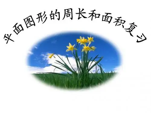 苏教版六年下《平面图形的周长与面积》(总复习)ppt课件