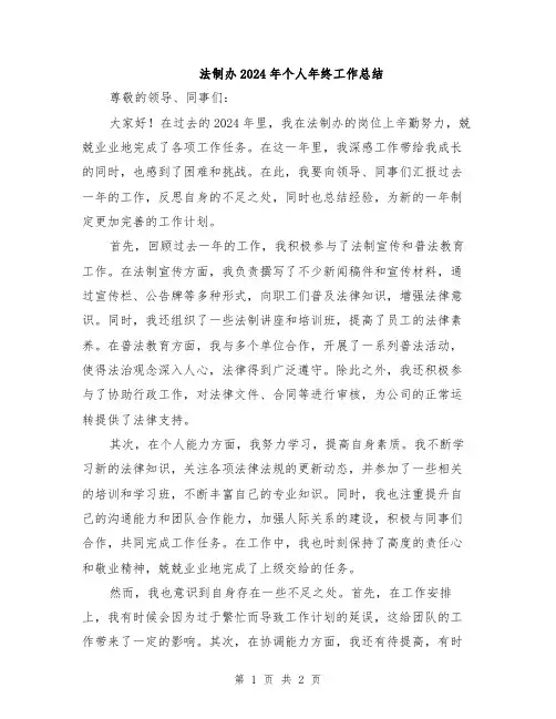法制办2024年个人年终工作总结