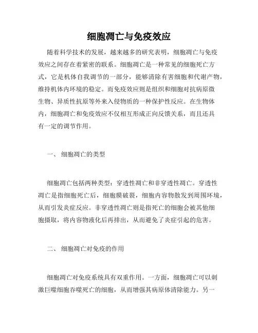 细胞凋亡与免疫效应