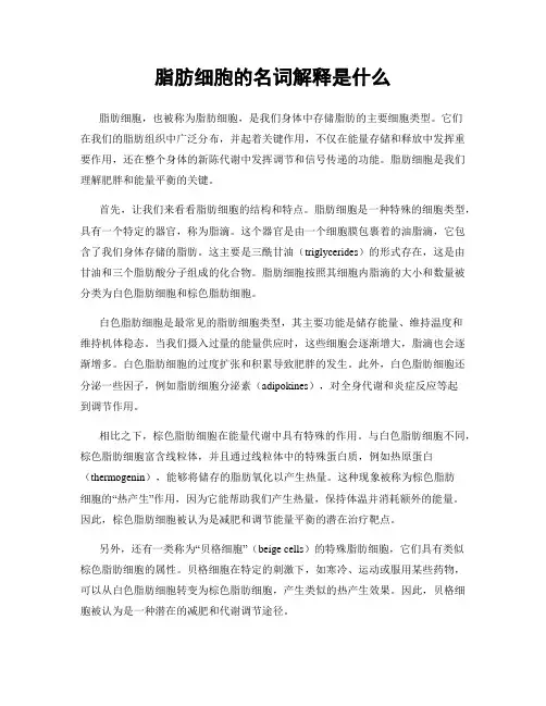 脂肪细胞的名词解释是什么
