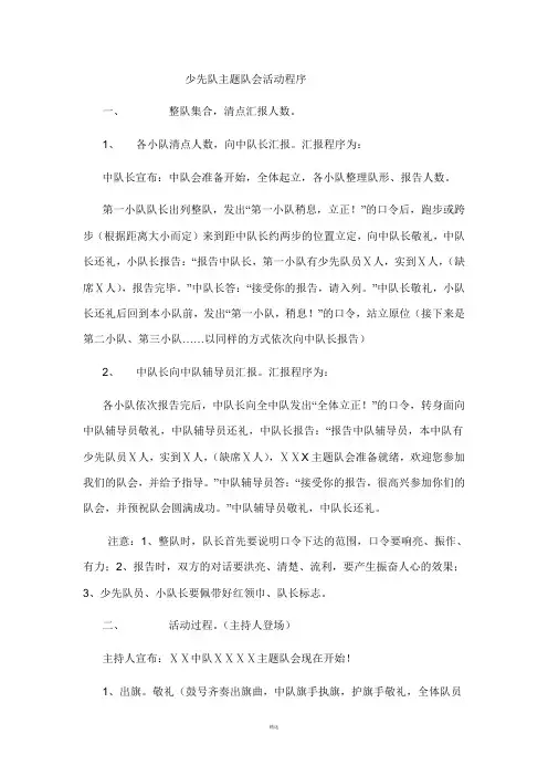 少先队主题队会活动程序