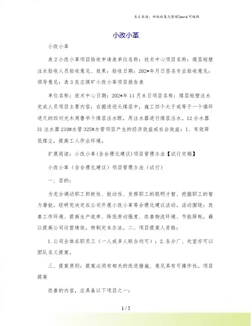 小改小革[1]