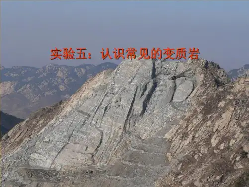 认识常见的变质岩(“构造”相关文档)共19张