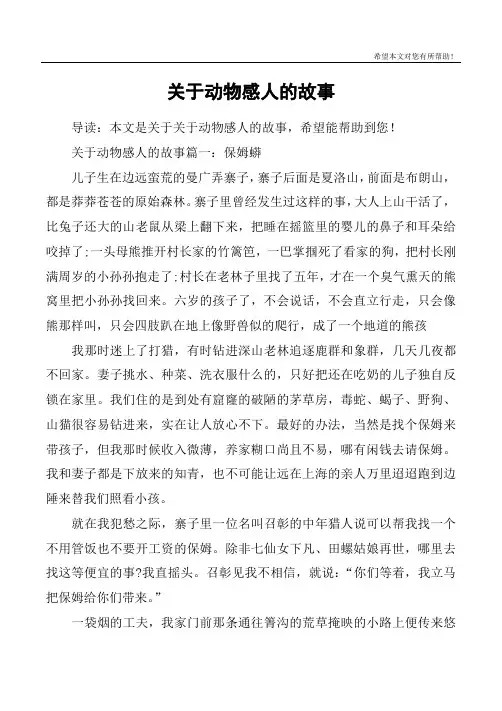 关于动物感人的故事