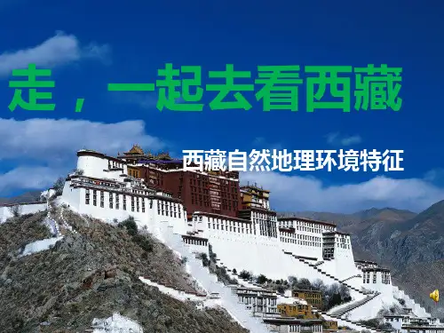 西藏自然地理环境特征PPT课件