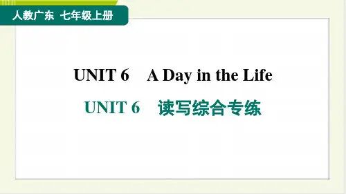 2024年人教版七年级上册英语UNIT 6读写综合专练