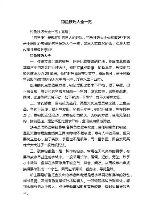 钓鱼技巧大全一览
