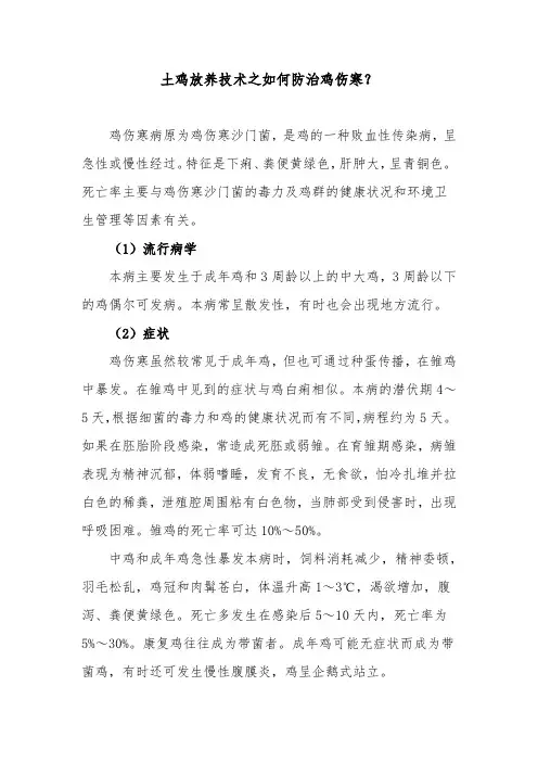 土鸡放养技术之如何防治鸡伤寒？
