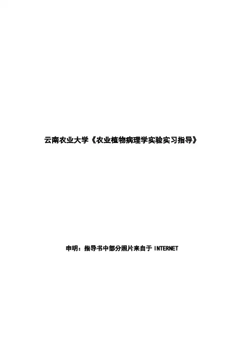 实验指导书-水稻和麦类病害