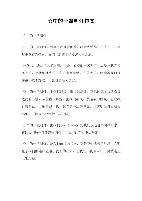 心中的一盏明灯作文