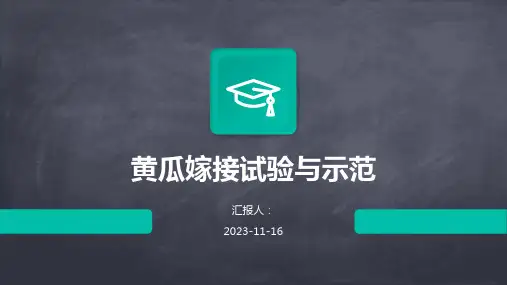 黄瓜嫁接试验与示范
