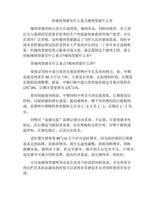 养瘦肉型猪有什么重点瘦肉型猪什么养