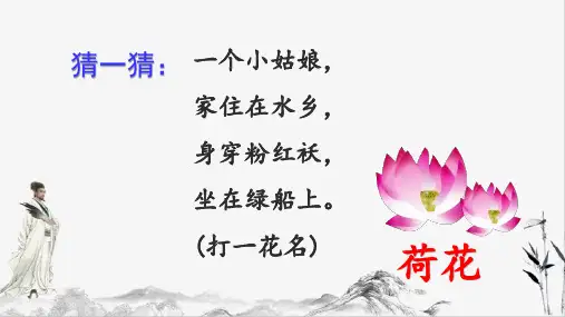 部编版三年级下册语文3.荷花课件