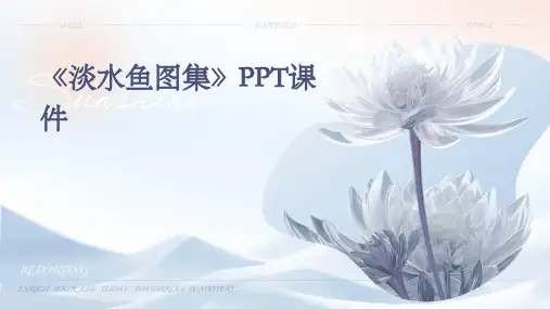 《淡水鱼图集》课件