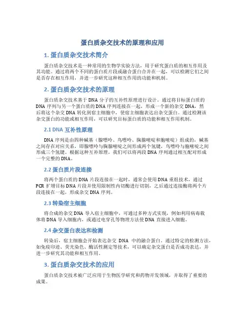 蛋白质杂交技术的原理和应用
