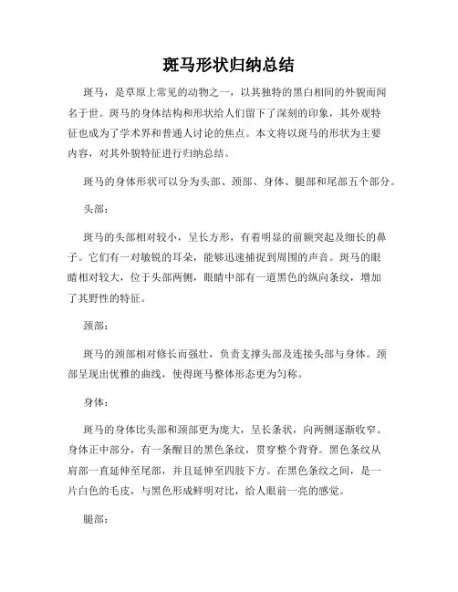 斑马形状归纳总结