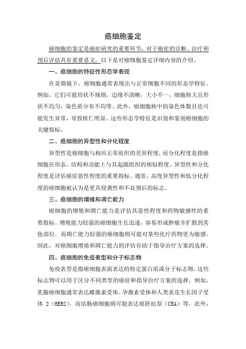 癌细胞鉴定