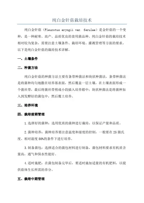 纯白金针菇栽培技术