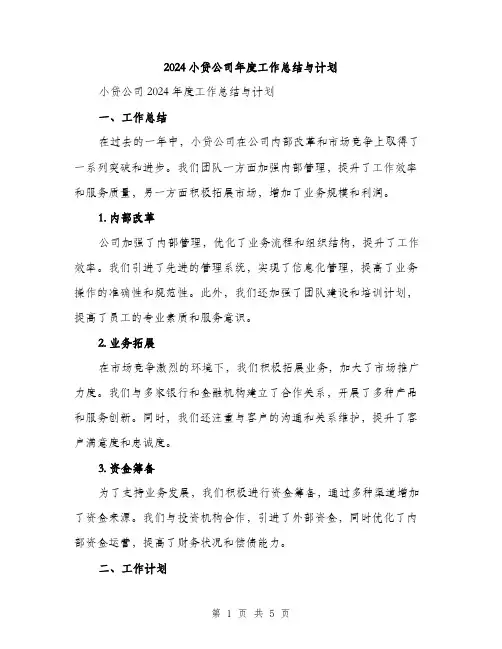 2024小贷公司年度工作总结与计划(2篇)