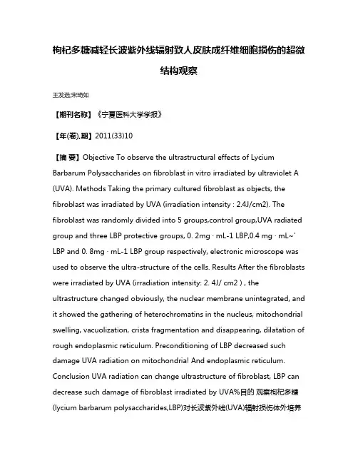 枸杞多糖减轻长波紫外线辐射致人皮肤成纤维细胞损伤的超微结构观察